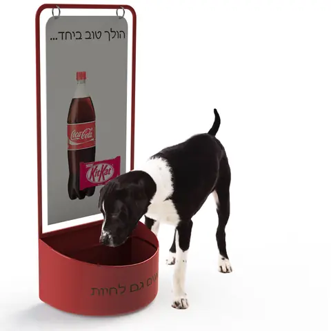 Dog Drinking Stand