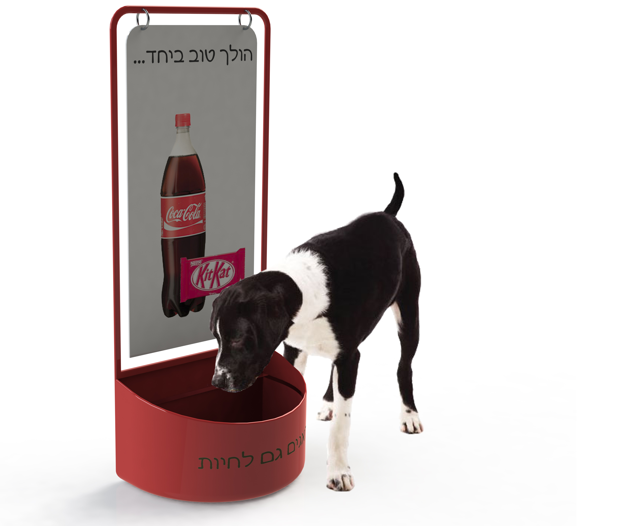 Dog Drinking Stand